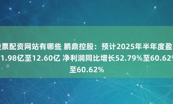 股票配资网站有哪些 鹏鼎控股：预计2025年半年度盈利11.98亿至12.60亿 净利润同比增长52.79%至60.62%